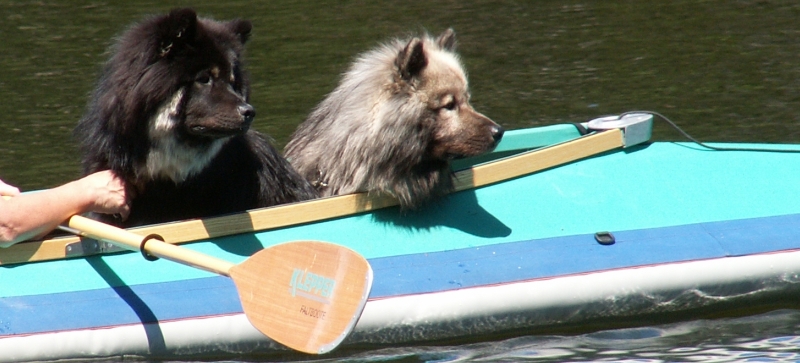 Urlaub mit Hund Mecklenburgische Seenplatte Unterkunft Haustier erlaubt