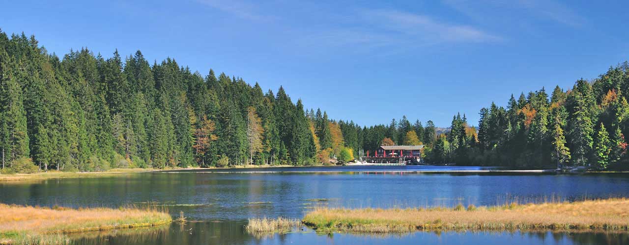 Ferienwohnungen und Ferienhäuser in Miltach / Bayerischer Wald